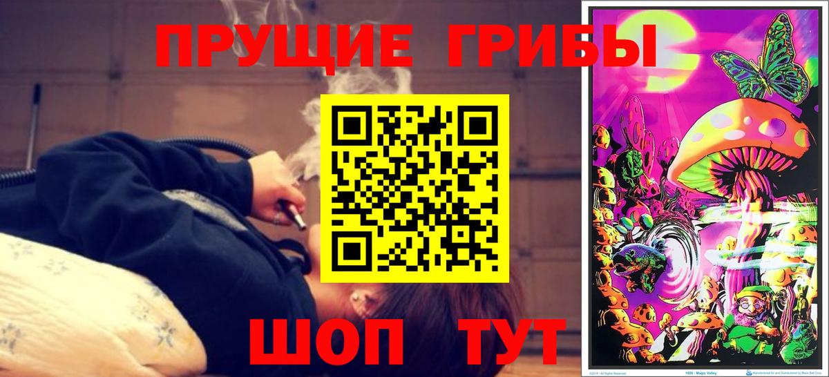 Кунгур  Галлюциногенные грибы GOLDEN TEACHER  Вход с VPN 